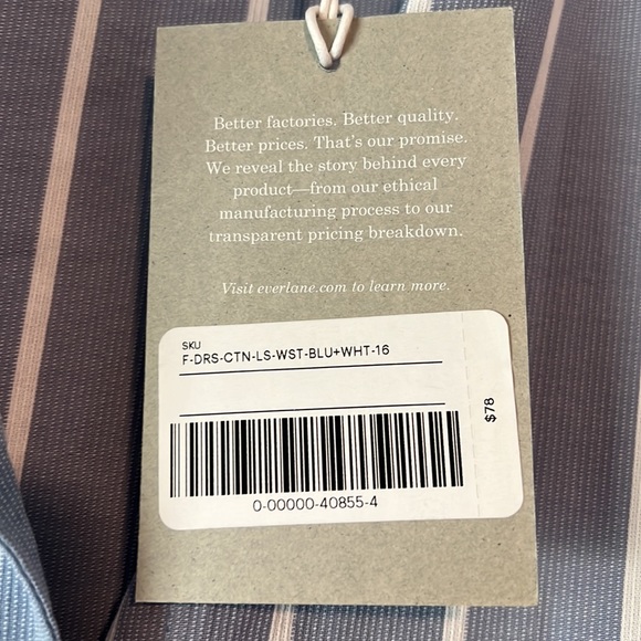Everlane Blue Striped Shirt Dress - Picture 5 of 7